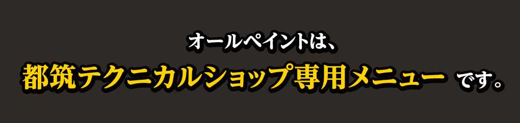 オールペイントは、都筑テクニカルショップ専用メニューです。