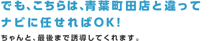 でも、こちらは、青葉町田店と違ってナビに任せればOK!ちゃんと、最後まで誘導してくれます。